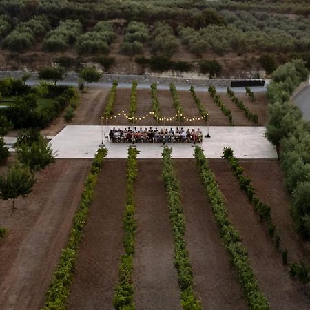 Citrus Grove Luxury Villas Skaleta Extérieur photo